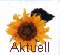 Aktuell