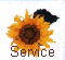 Service